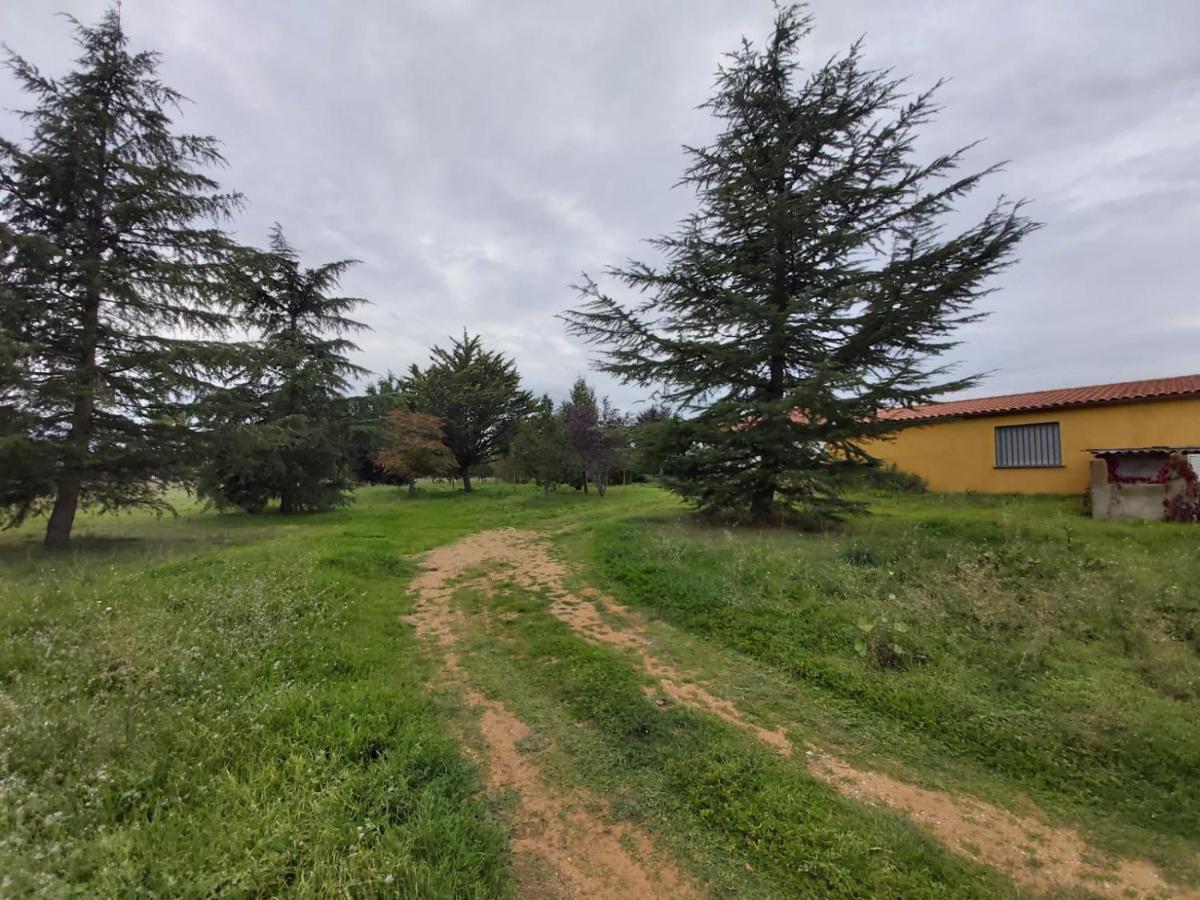 Casa Chalet En El Campo Barbadillo Ngoại thất bức ảnh