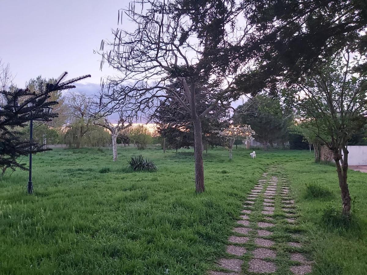 Casa Chalet En El Campo Barbadillo Ngoại thất bức ảnh